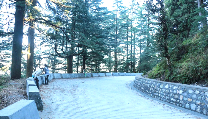 Camel’s-Back-Road-Mussoorie