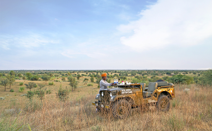 alsisar-mahal-safaris-rajasthan