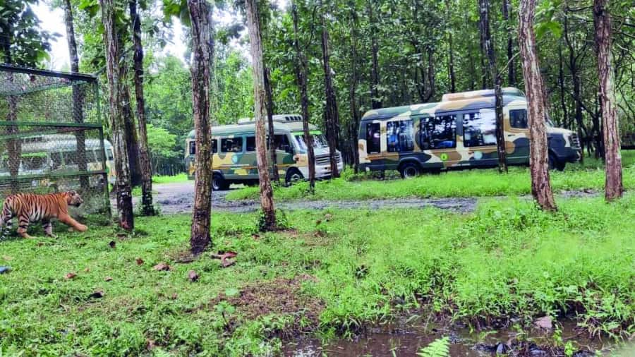 Bengal Safari Park, Siliguri