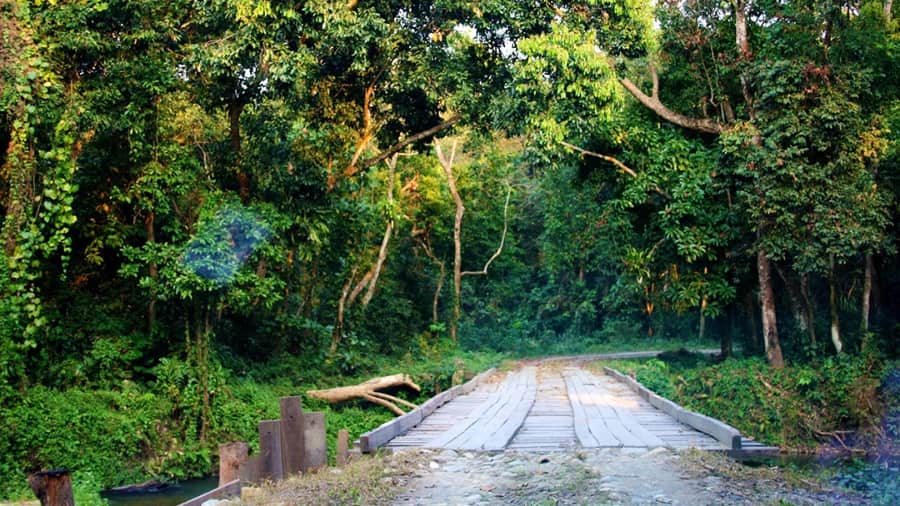 Chilapata Forest, Siliguri