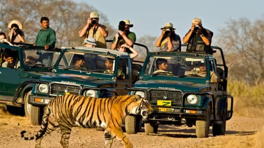 Jim Corbett Luxury Safari