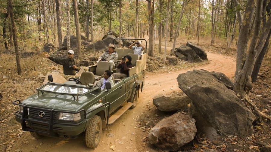 Top 4 Exclusive Wildlife Safaris & Eco-Luxury Experiences in India