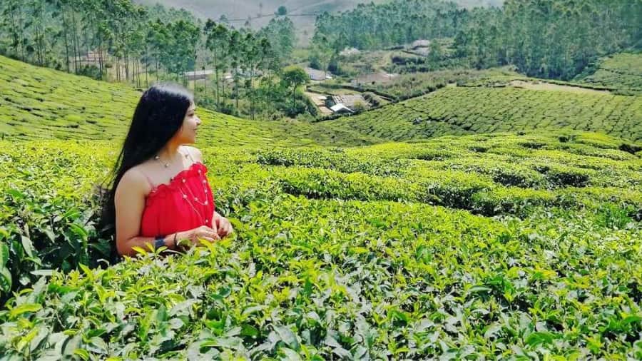 Munnar – A Tea Lover’s Dream