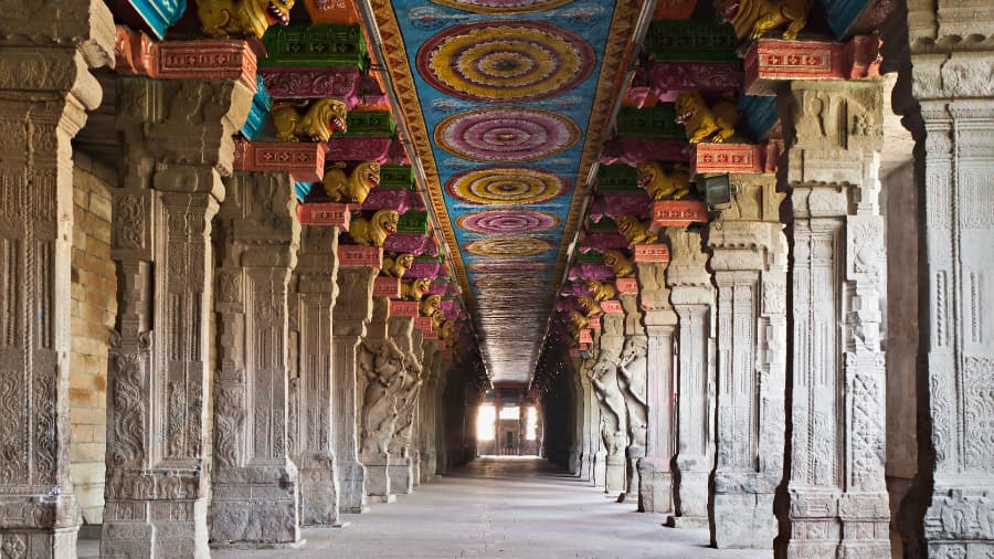 Insider Tips for an Unforgettable Visit