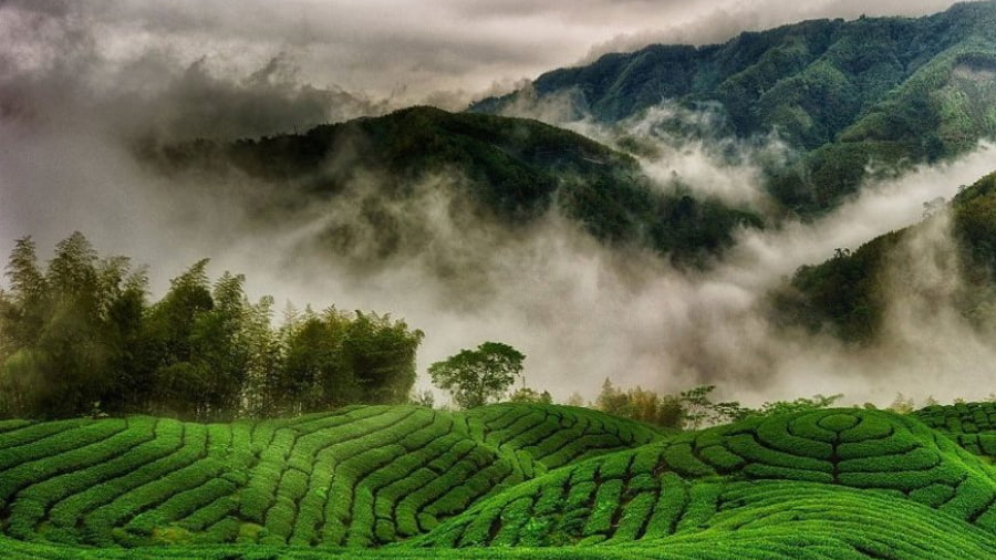 Ooty