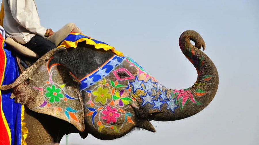 Why Festivals are the Heartbeat of India