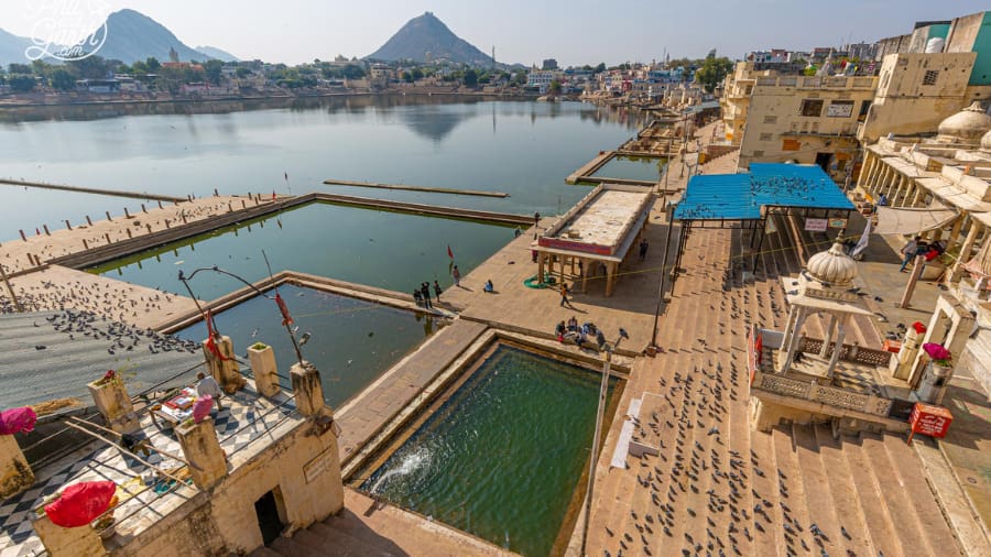 Best Things to Do in Pushkar