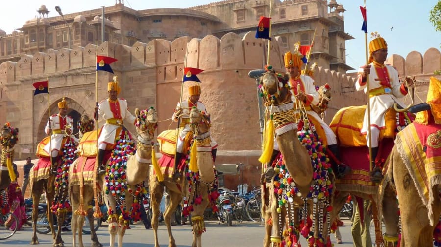 Enjoy the Cultural Events and Competitions