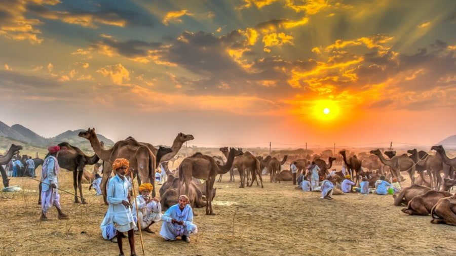 Explore the Holy Town of Pushkar