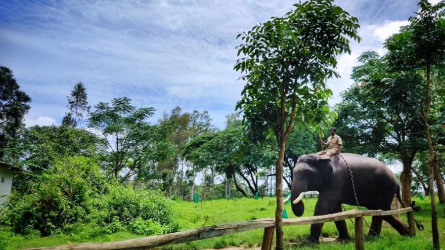 Planning Your Perfect Coorg Trip