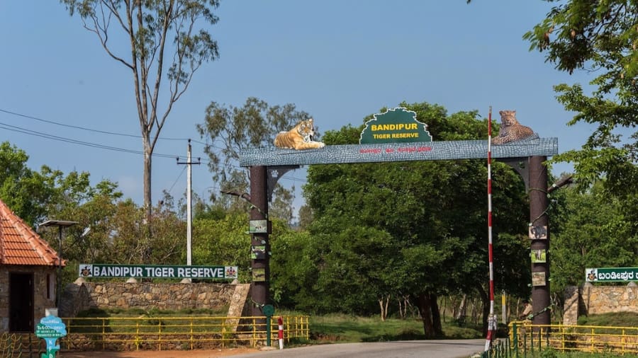 Bandipur National Park