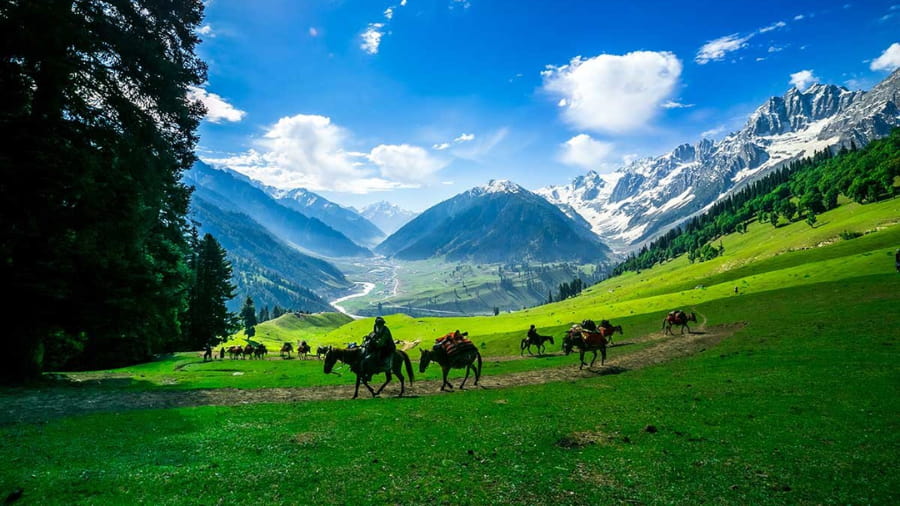 Discover the Untouched Beauty of India