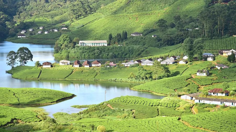 Hidden Tourist Places in Munnar