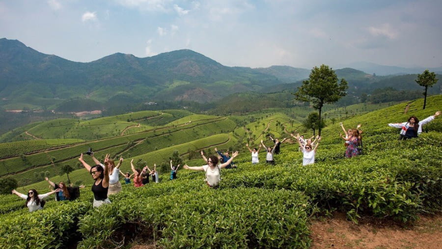Tea Gardens