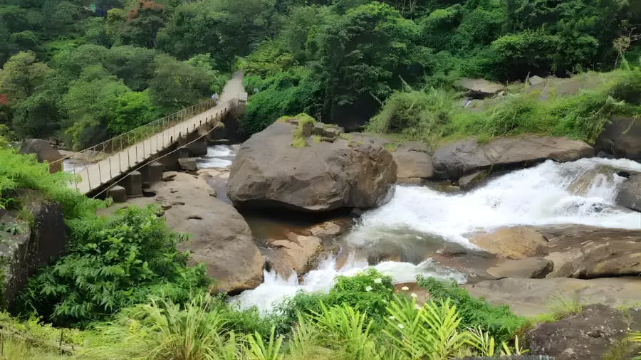 Tips to Explore Hidden Places in Munnar