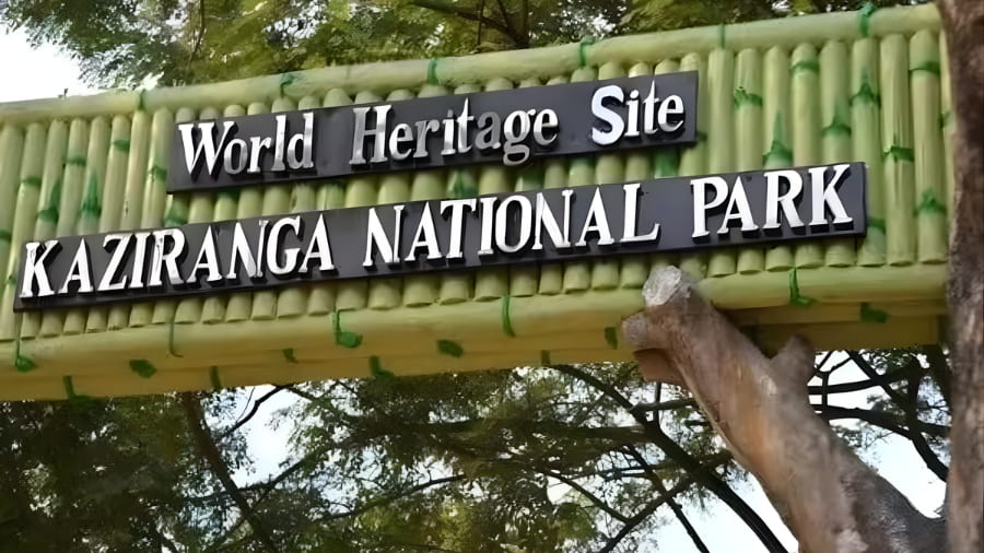 Kaziranga National Park