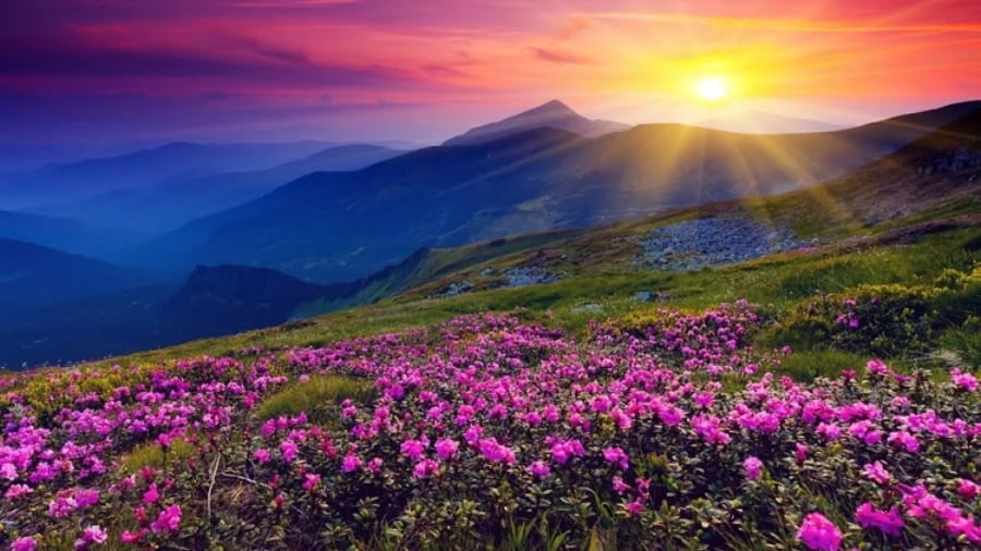 Nanda Devi and Valley of Flowers National Parks