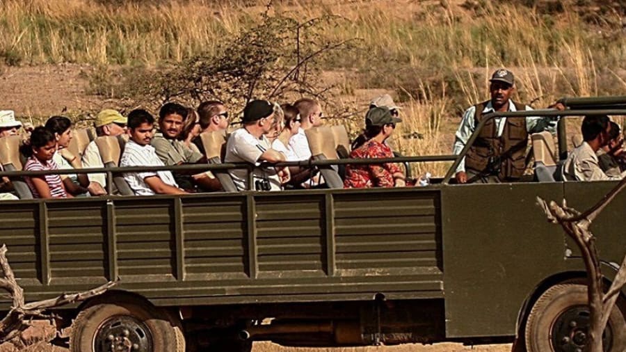 Bandhavgarh Jeep Safari Booking Price