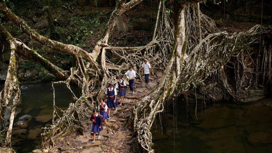 Cherrapunji, Meghalaya The Wettest Place on Earth