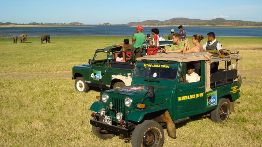 Explore the Yala National Park
