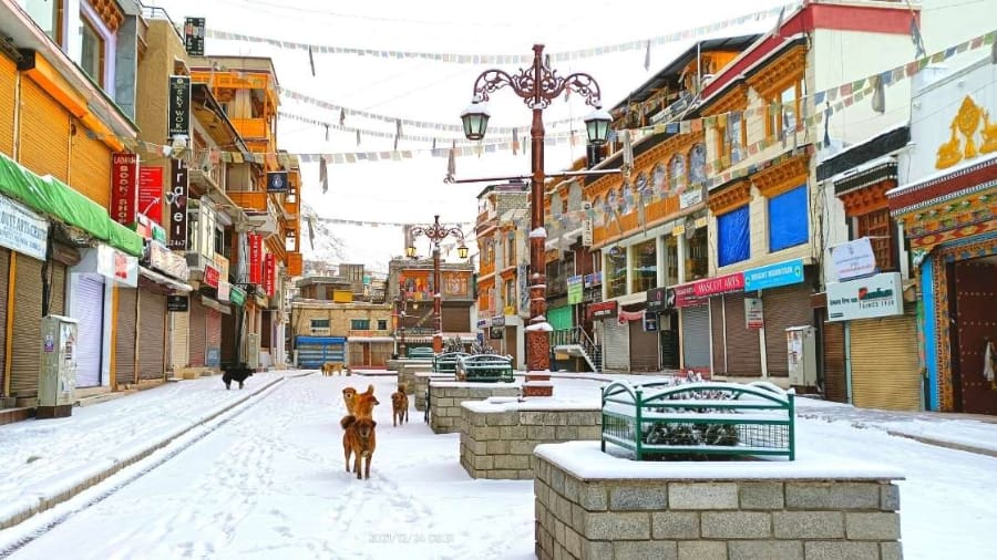 Leh Market