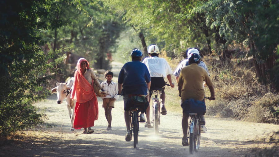 Rent a Bicycle