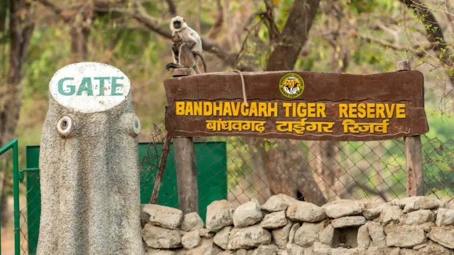 Responsible Tourism Practices