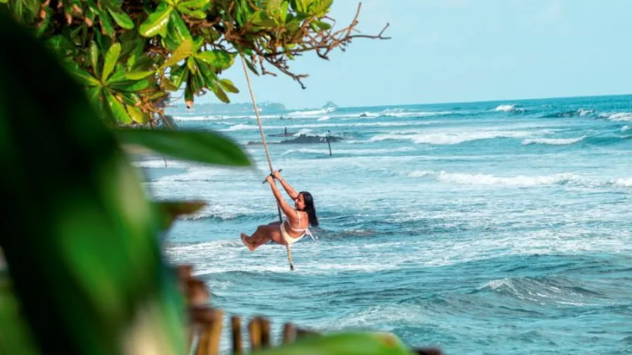Rope Swings at the Southern Coast