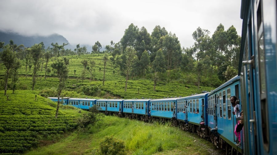 Take the Scenic Train Ride (Kandy to Ella)