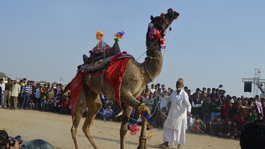 Spiritual and Religious Activities