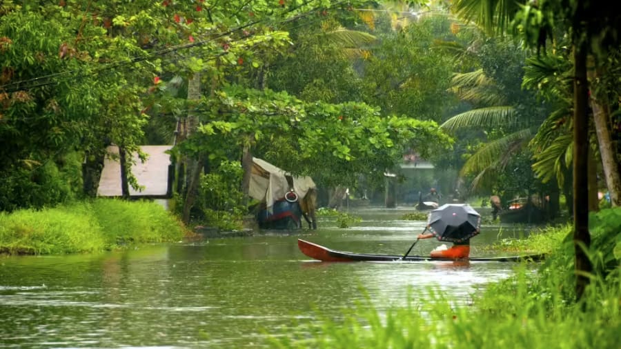 10 Top Monsoon Escapes in India for Rain Lovers
