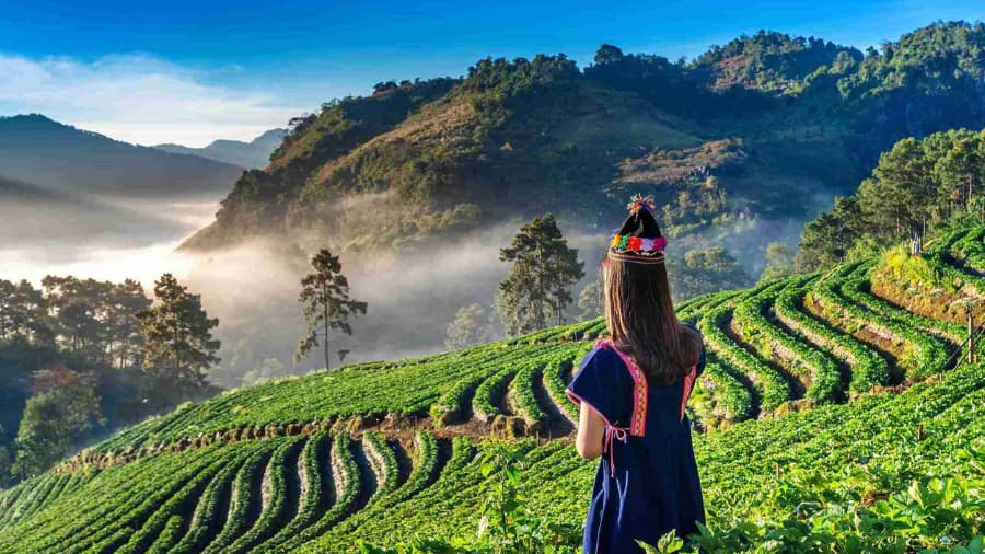 Munnar, Kerala