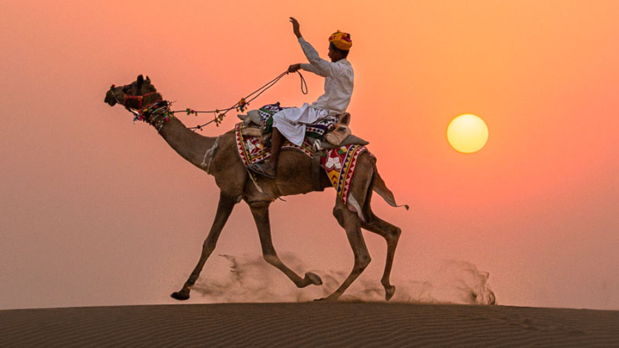 Pushkar Camel Fair 2026 Ticket Price