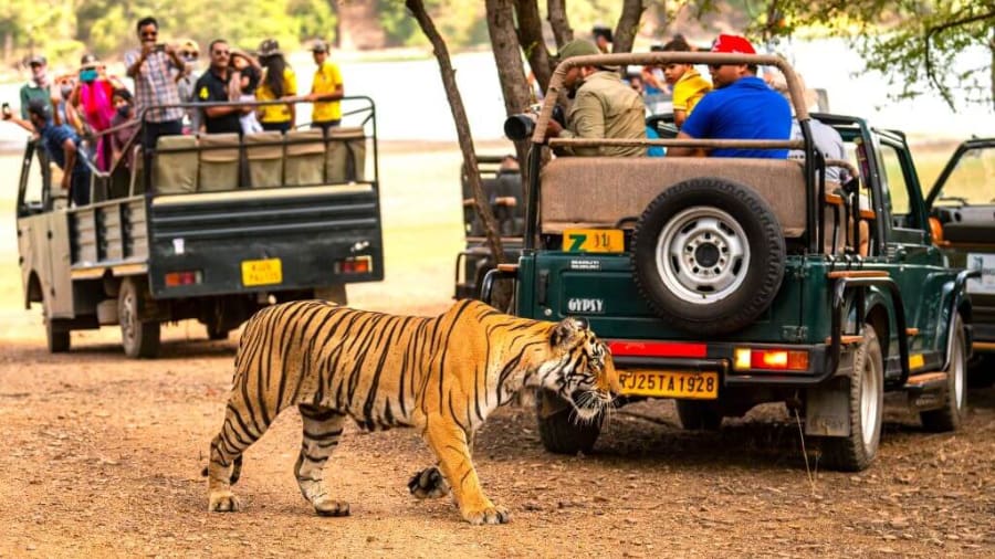 Ranthambore National Park