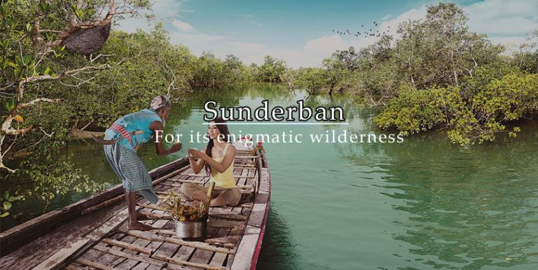 sundarban-west-bengal-indias