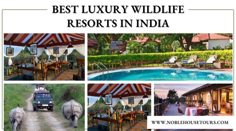 Best Luxury Wildlife Resorts in India