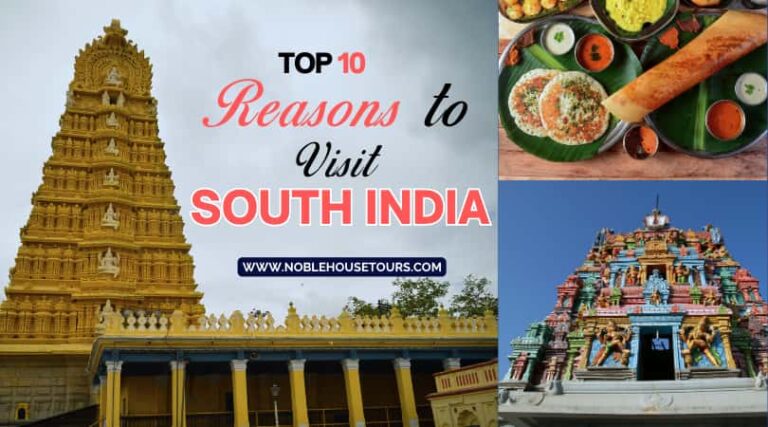 Top 10 Reasons to Visit South India