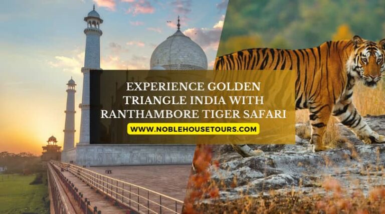 Experience Golden Triangle India With Ranthambore Tiger Safari
