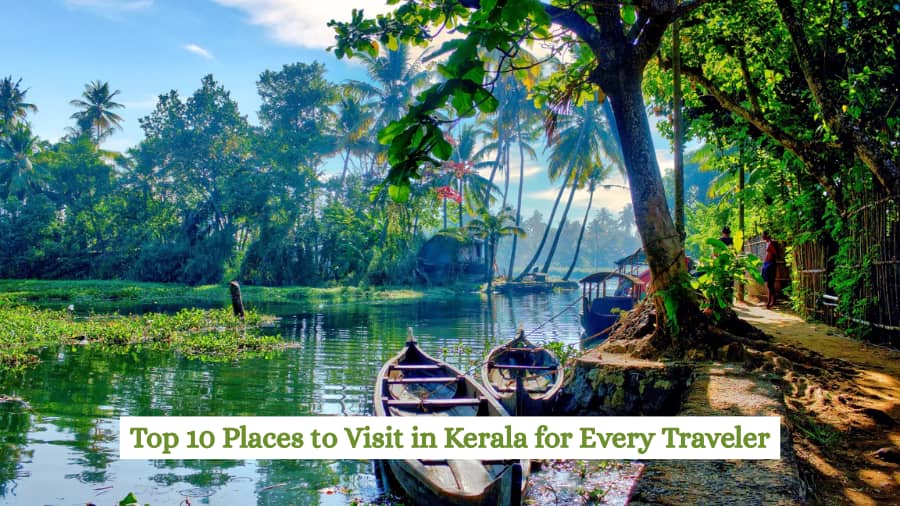 Top 10 Places to Visit in Kerala for Every Traveler