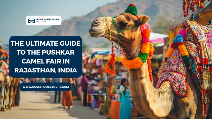 The Ultimate Guide to the Pushkar Camel Fair in Rajasthan, India
