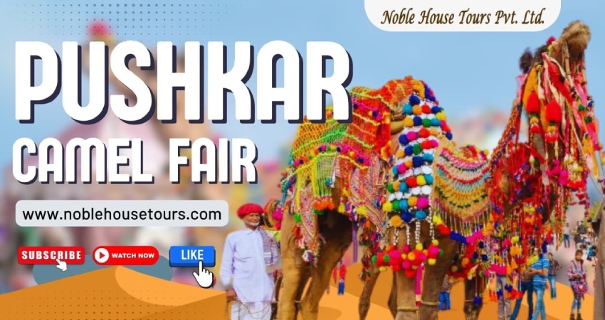 Pushkar Camel Fair 2026