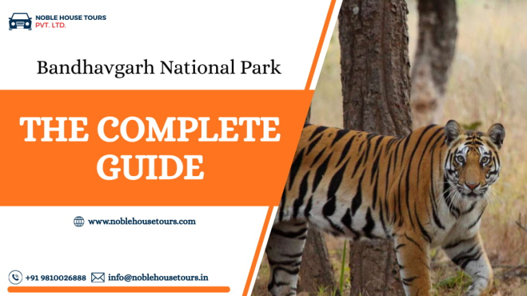 Bandhavgarh National Park The Complete Guide