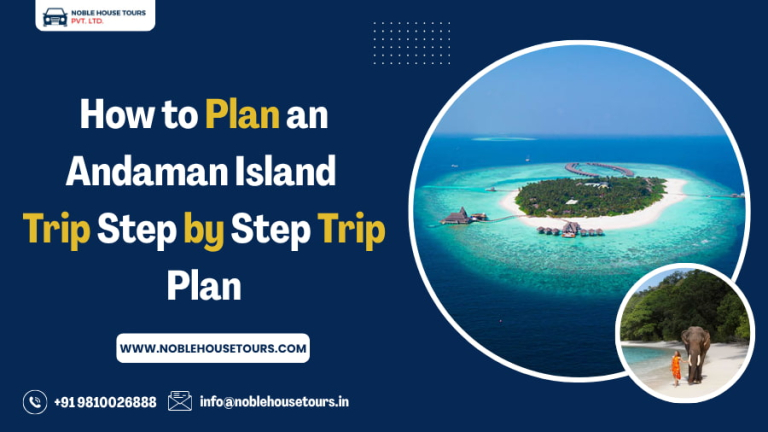 How to Plan an Andaman Island Trip Step by Step Trip Plan