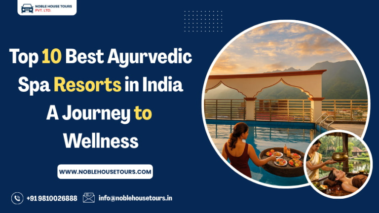Top 10 Best Ayurvedic Spa Resorts in India A Journey to Wellness
